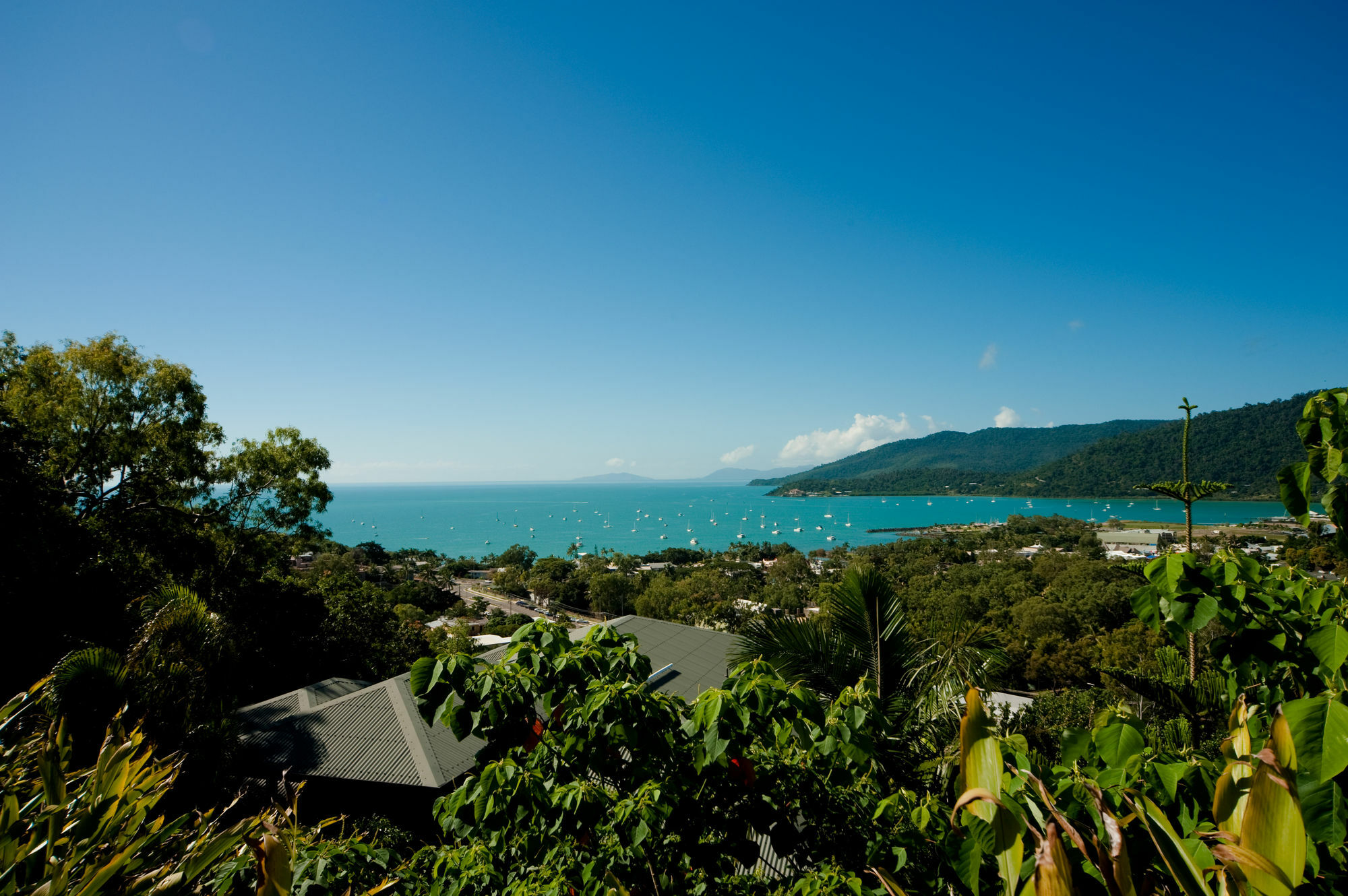 Sea Star Apartments Airlie Beach Exteriér fotografie